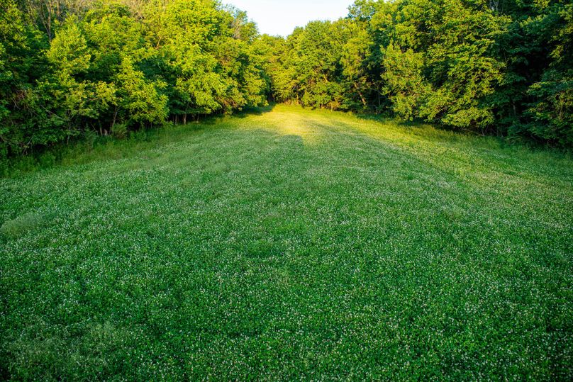 Pike il 83.55 pro photo-17