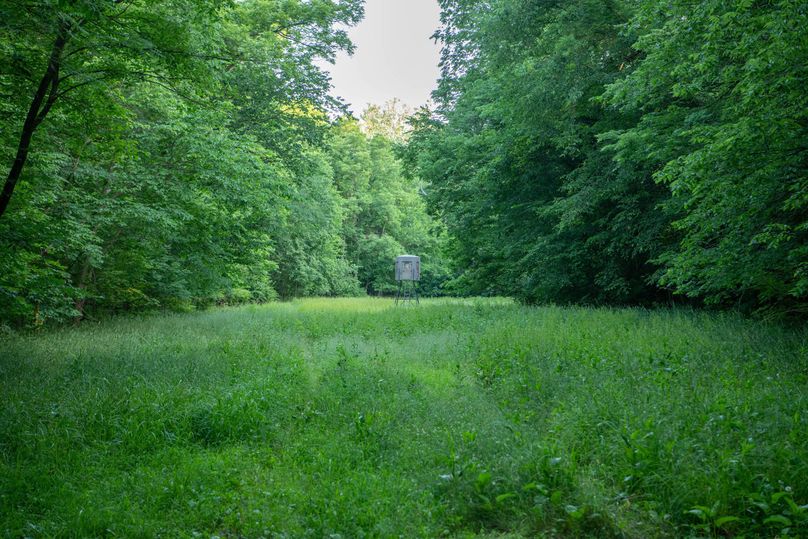 Pike il 83.55 pro photo-1