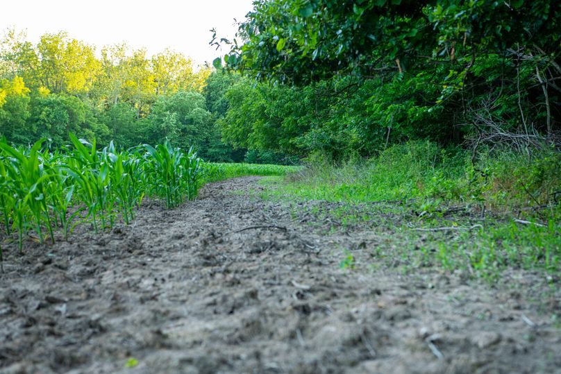 Pike il 83.55 pro photo-10