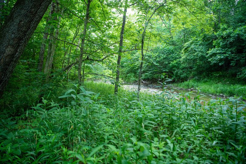 Pike il 83.55 pro photo-12