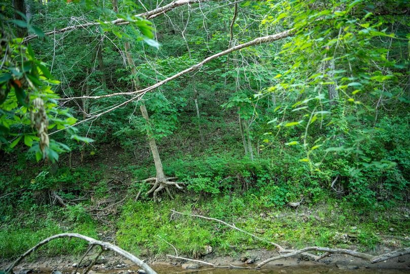 Pike il 83.55 pro photo-13