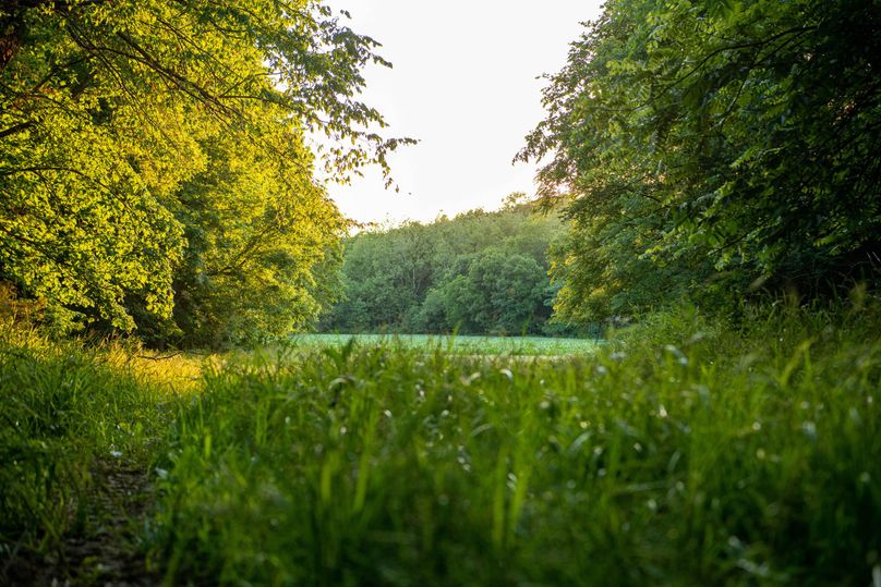 Pike il 83.55 pro photo-24