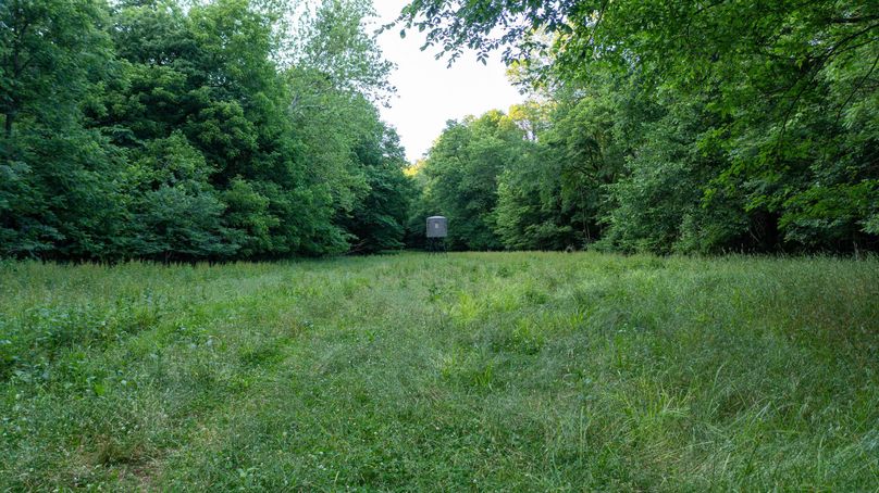 Pike il 83.55 pro photo-25