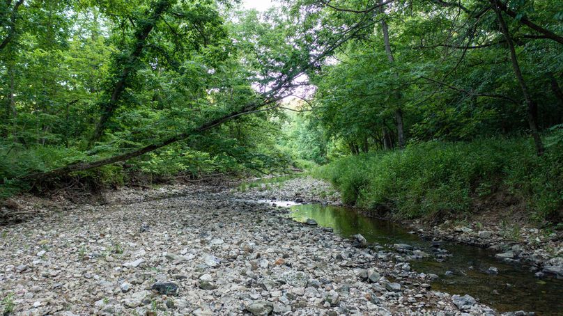 Pike il 83.55 pro photo-26