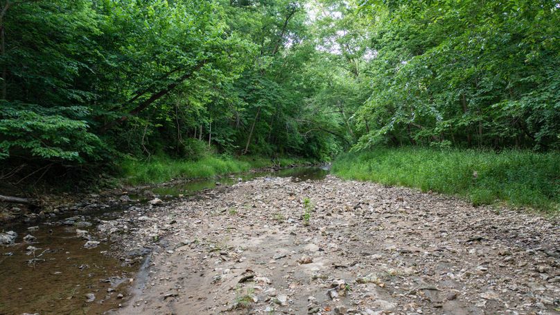 Pike il 83.55 pro photo-27