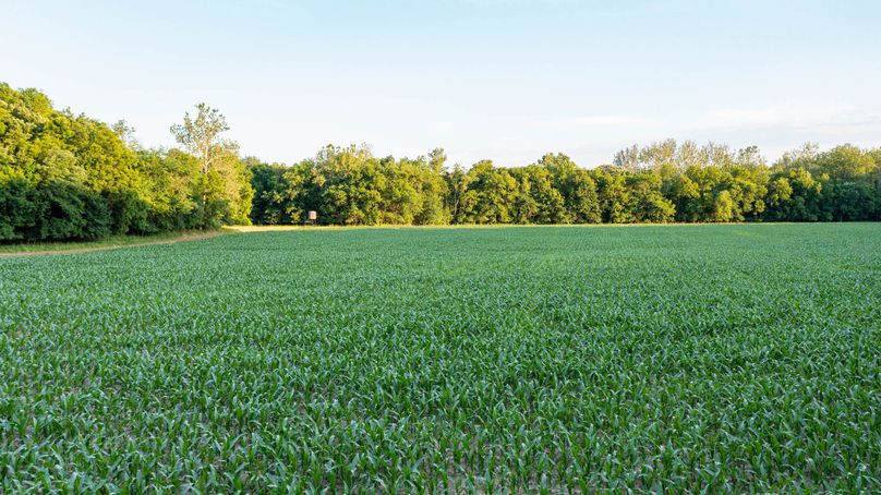 Pike il 83.55 pro photo-28