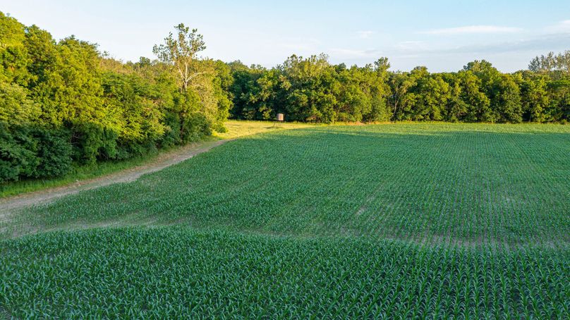 Pike il 83.55 pro photo-29