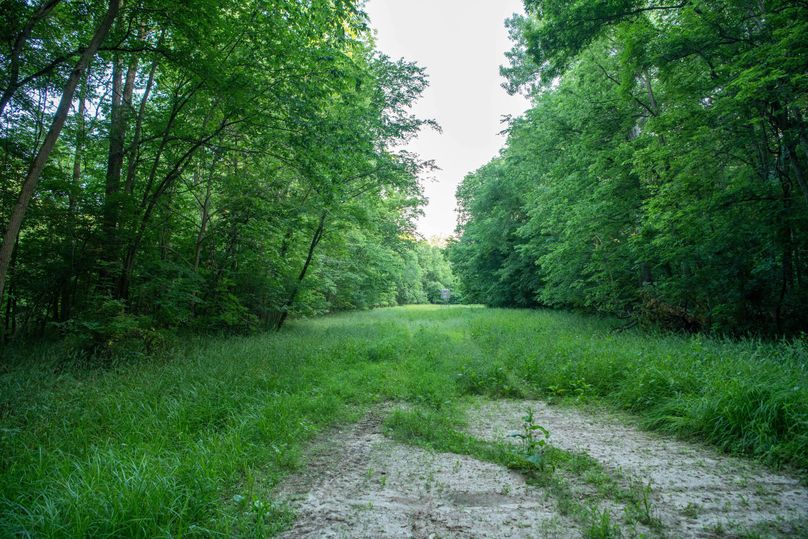 Pike il 83.55 pro photo-2