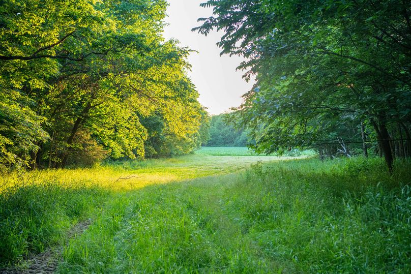 Pike il 83.55 pro photo-23