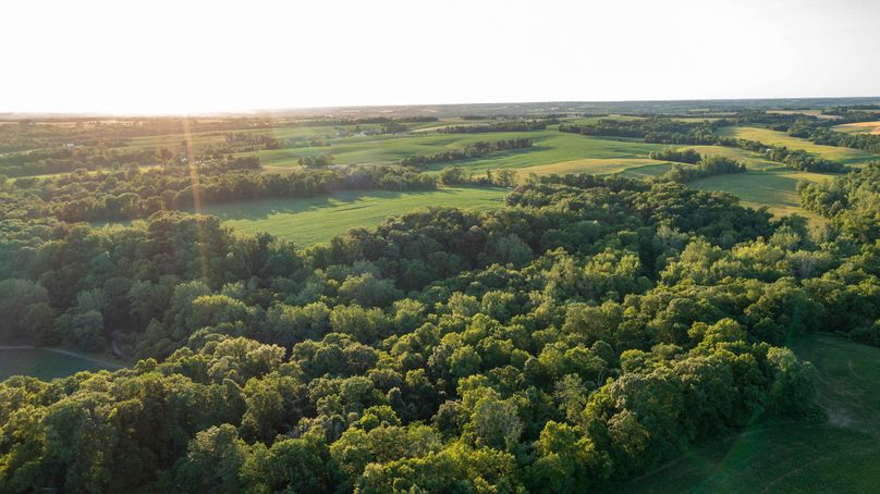 Pike il 83.55 pro photo-34