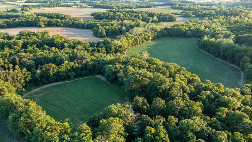 Pike il 83.55 pro photo-35