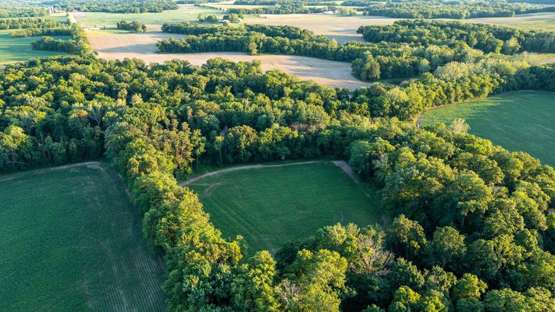 Pike il 83.55 pro photo-36