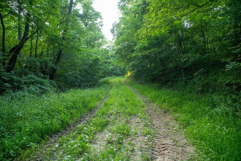 Pike il 83.55 pro photo-3