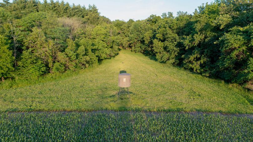 Pike il 83.55 pro photo-30