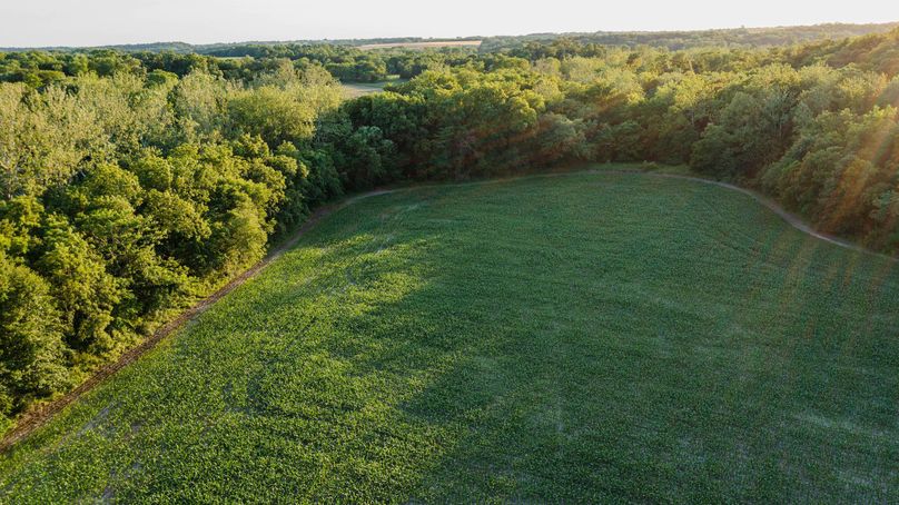 Pike il 83.55 pro photo-31