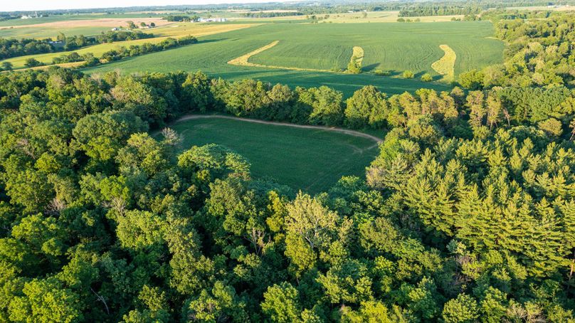 Pike il 83.55 pro photo-32