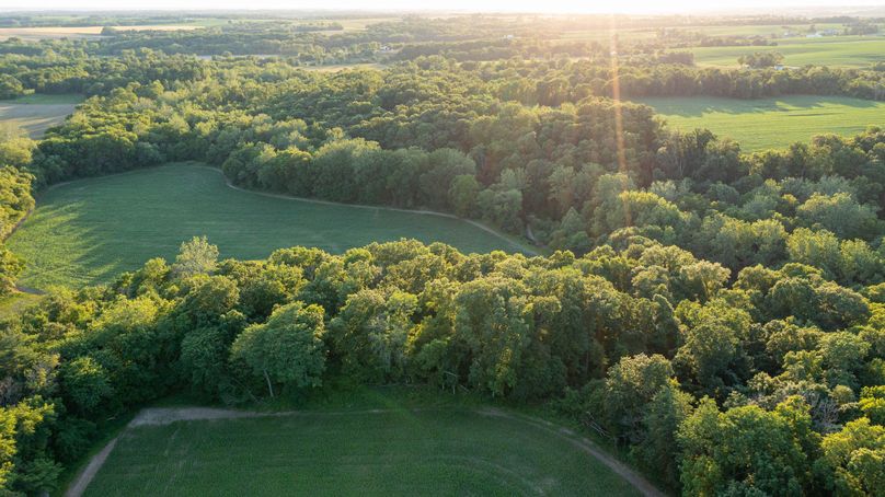 Pike il 83.55 pro photo-33