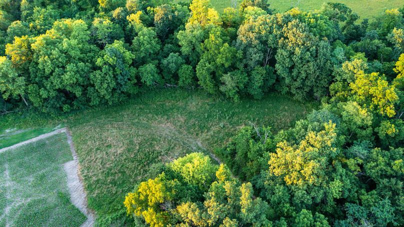 Pike il 83.55 pro photo-44