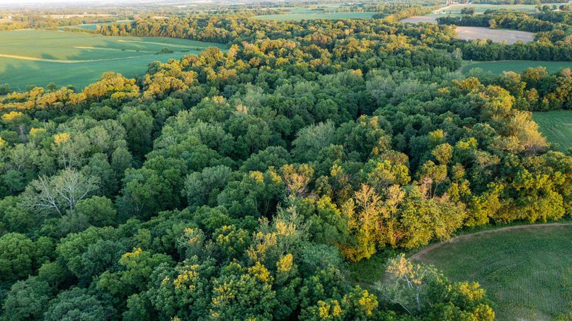 Pike il 83.55 pro photo-45