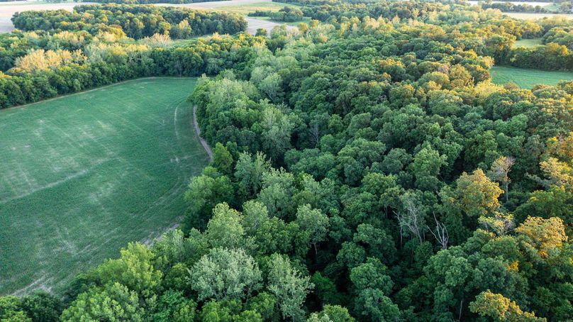 Pike il 83.55 pro photo-46