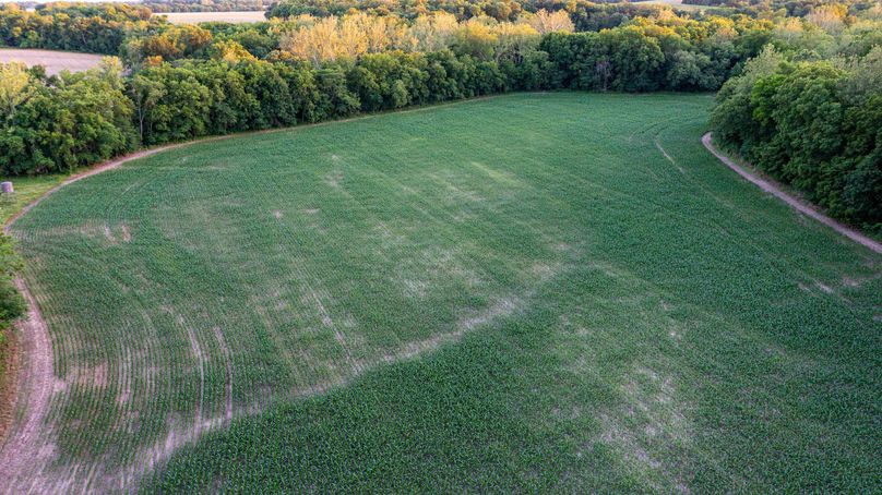 Pike il 83.55 pro photo-47