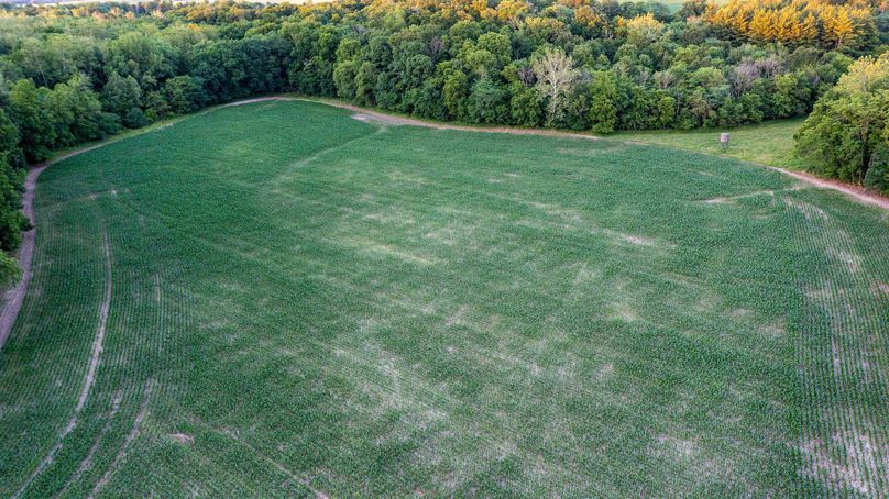 Pike il 83.55 pro photo-48