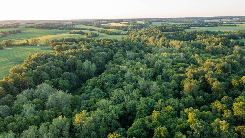 Pike il 83.55 pro photo-41