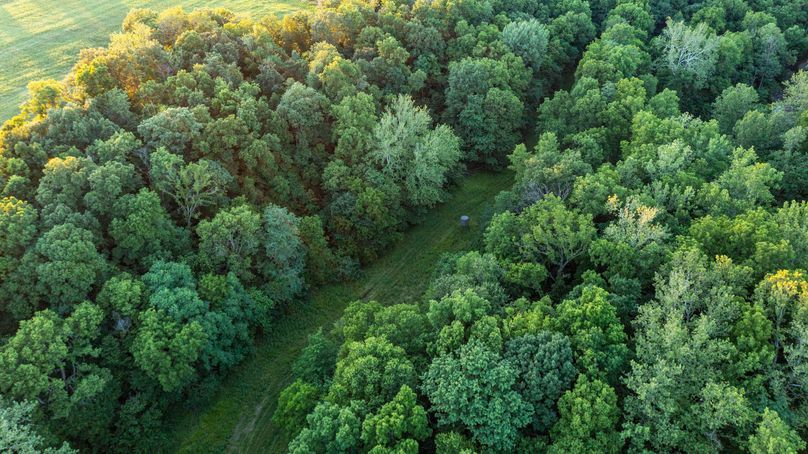 Pike il 83.55 pro photo-42