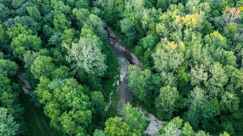 Pike il 83.55 pro photo-43