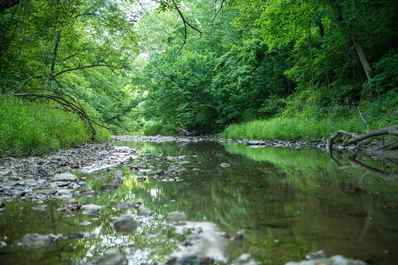 Pike il 83.55 pro photo-5