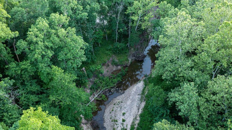 Pike il 83.55 pro photo-50