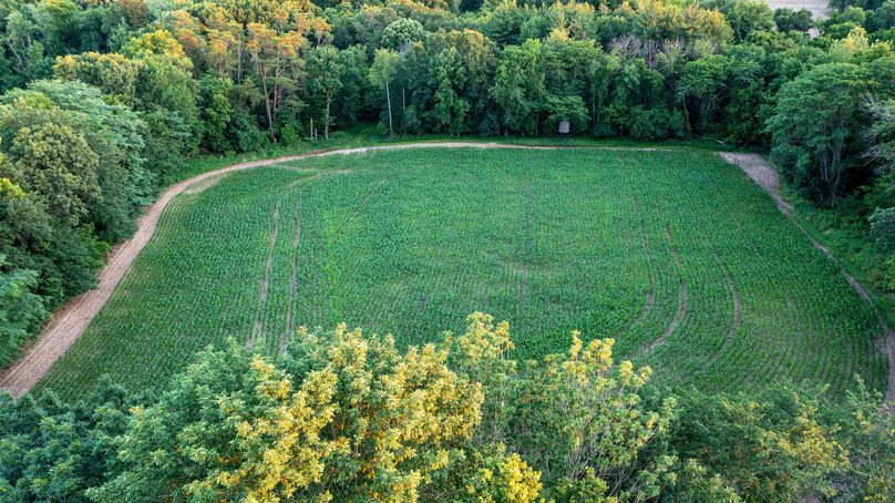 Pike il 83.55 pro photo-51