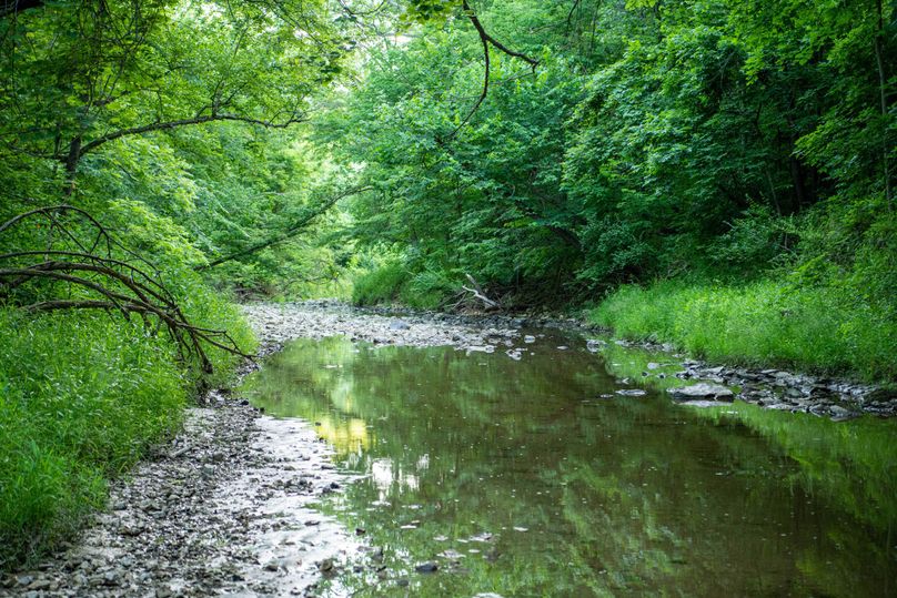 Pike il 83.55 pro photo-6