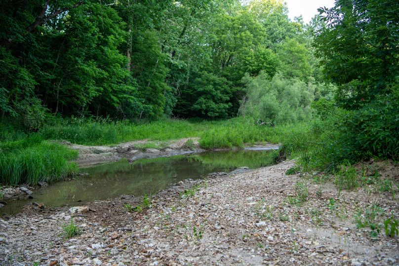 Pike il 83.55 pro photo-7