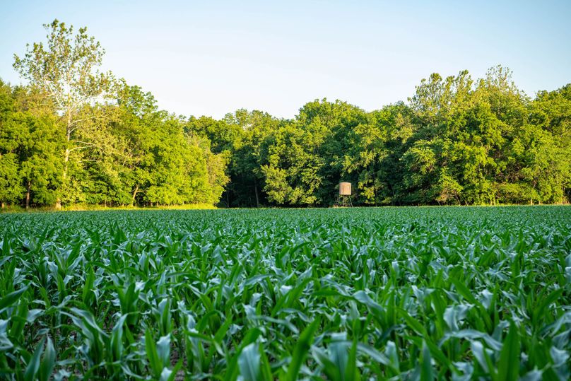 Pike il 83.55 pro photo-8