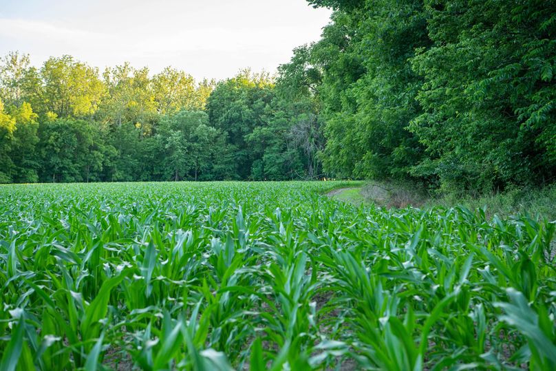 Pike il 83.55 pro photo-9