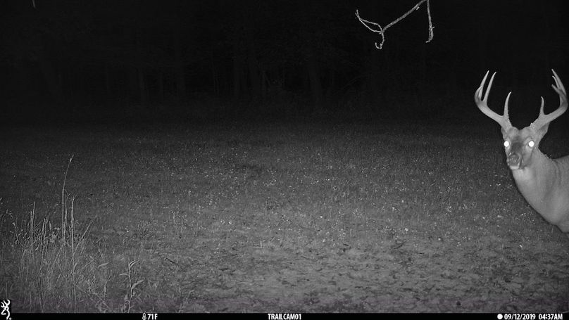 UGlrZTgzIDE5LjAwMDIw