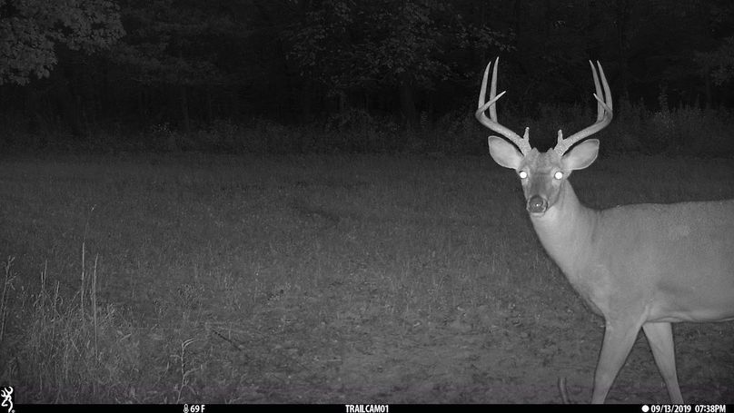 UGlrZTgzIDE5LjAwMDI2