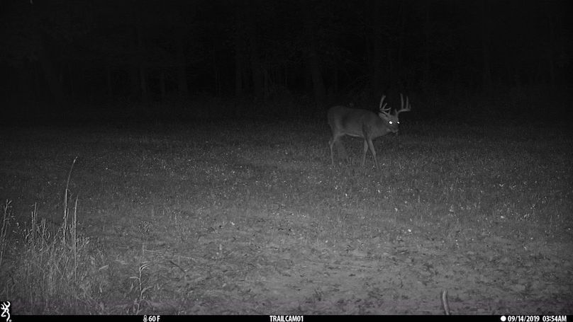 UGlrZTgzIDE5LjAwMDMw