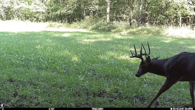 UGlrZTgzIDE5LjAwMDM4