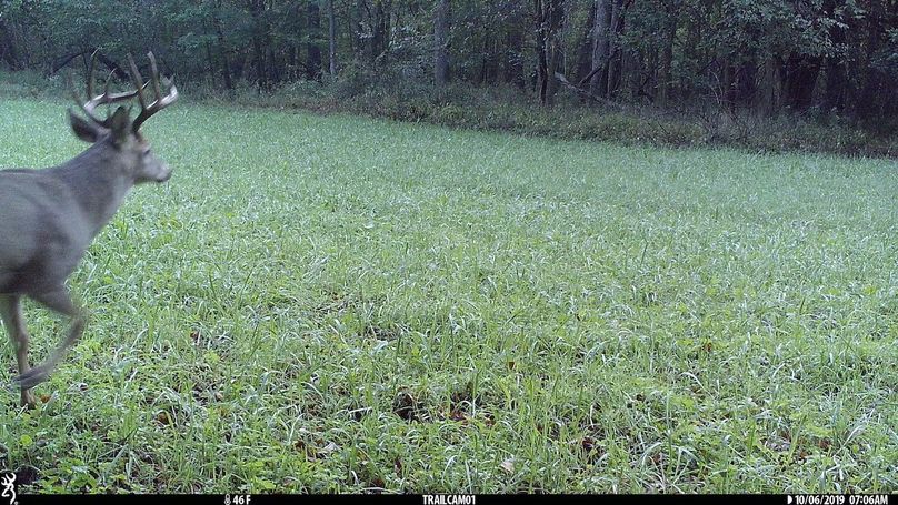 UGlrZTgzIDE5LjAwMDU3