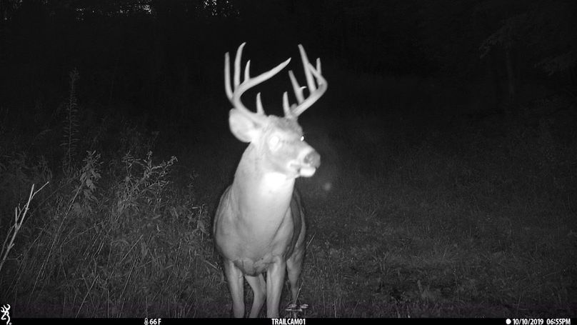 UGlrZTgzIDE5LjAwMDYx