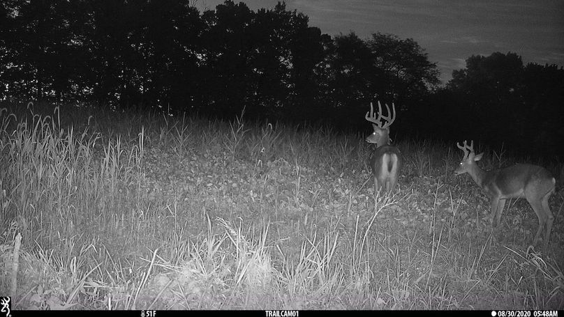 UGlrZTgzIDIwLjAwMDAy