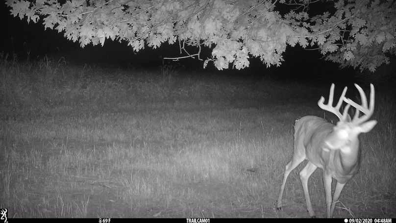 UGlrZTgzIDIwLjAwMDA4