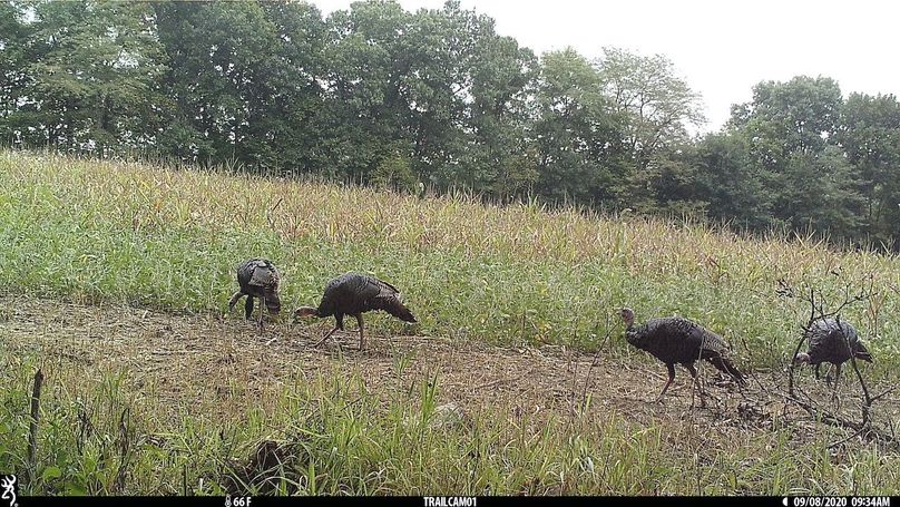 UGlrZTgzIDIwLjAwMDE2