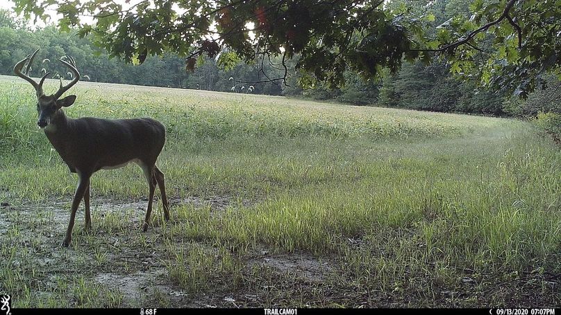 UGlrZTgzIDIwLjAwMDI2