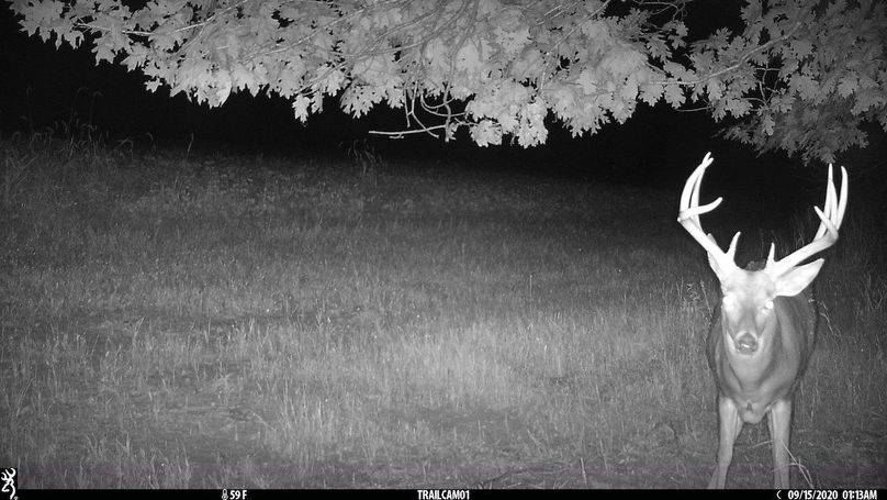 UGlrZTgzIDIwLjAwMDMz