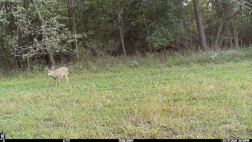 UGlrZTgzIDIwLjAwMDM2