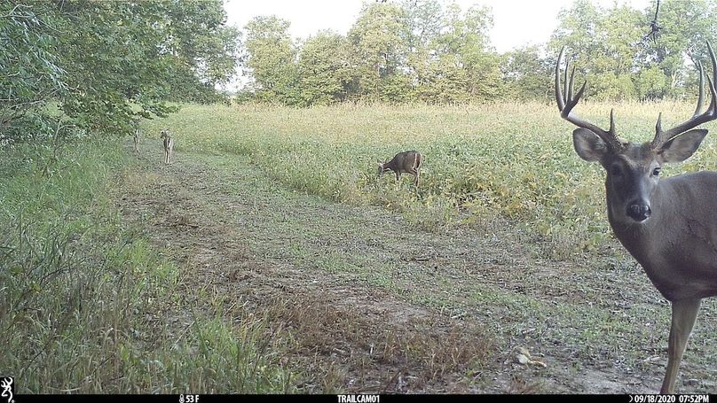 UGlrZTgzIDIwLjAwMDM3