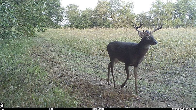 UGlrZTgzIDIwLjAwMDQ1